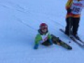 IMG 8775