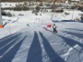 IMG 8779