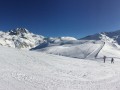 IMG 8809