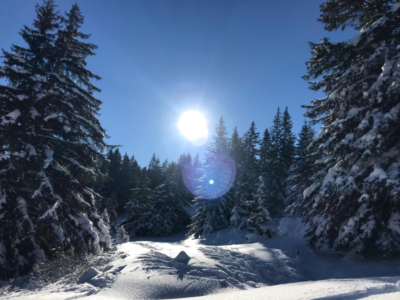 20181215 Lenzerheide 31