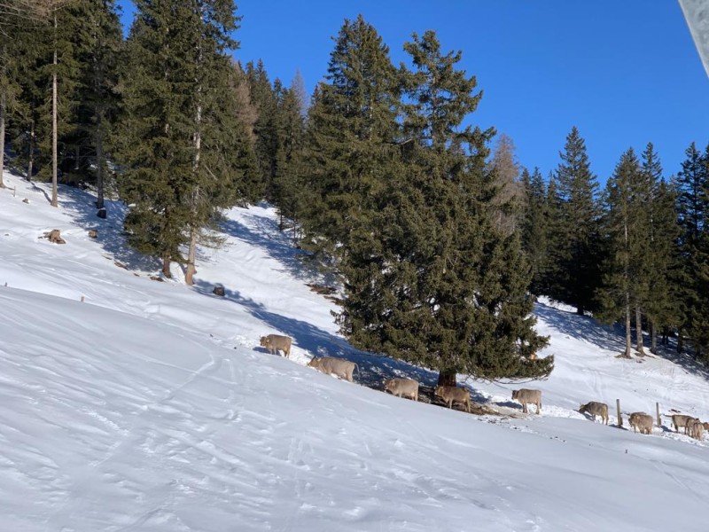 20220212 Lendzerheide 08