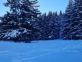 20231216 lenzerheide