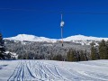 20231216 lenzerheide